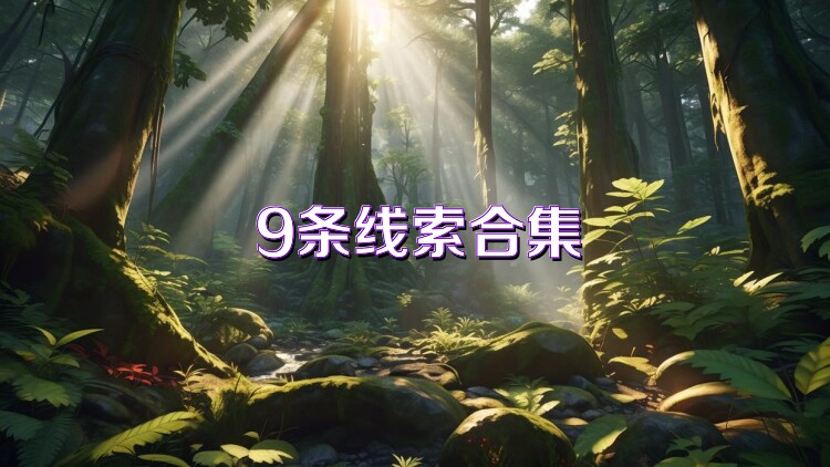 9条线索合集