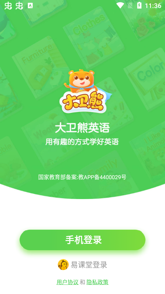 大卫熊1