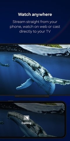 discovery+3