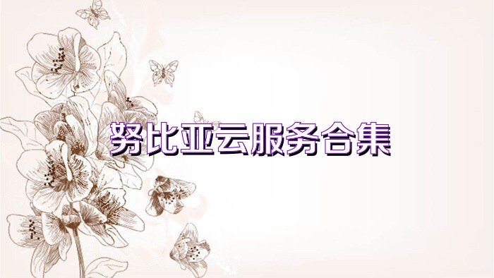 努比亚云服务合集