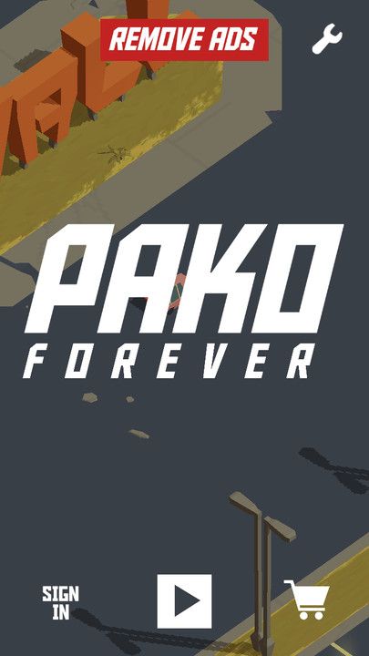 pako car chase simulat1