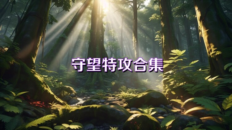 守望特攻合集