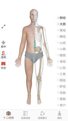 3D BODY(经络穴位3D)1
