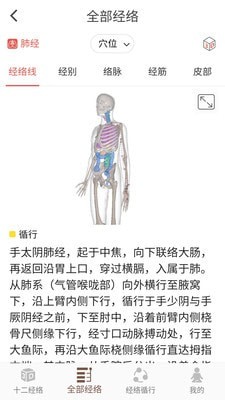 3D BODY(经络穴位3D)3