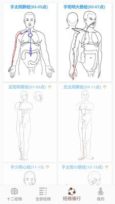 3D BODY(经络穴位3D)5