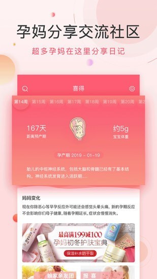 喜花开3