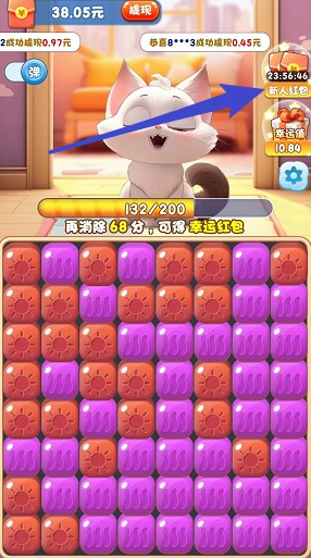 猫咪公社1
