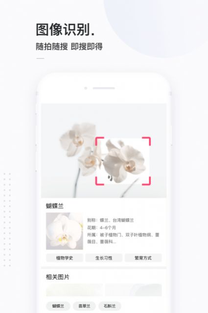 138导航网4