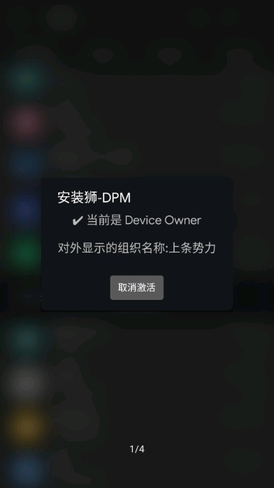 安装狮DPM1