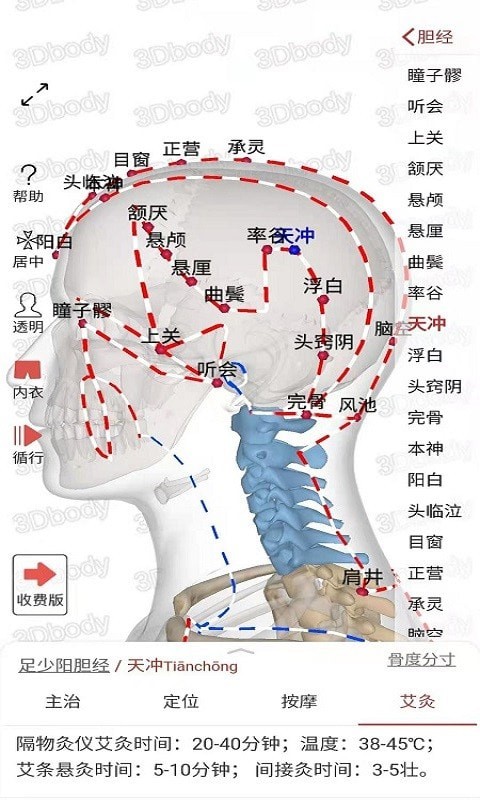 3Dbody经络穴位1