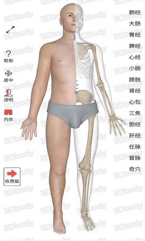 3Dbody经络穴位3