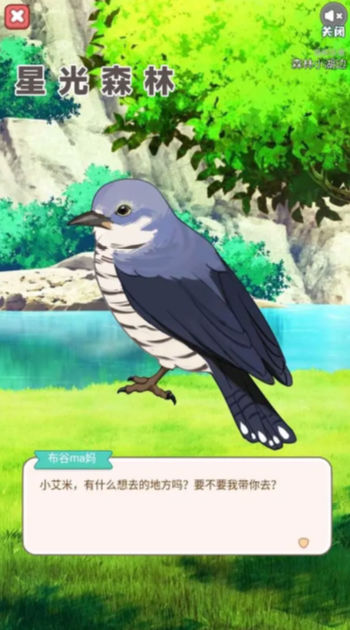 星光森林1