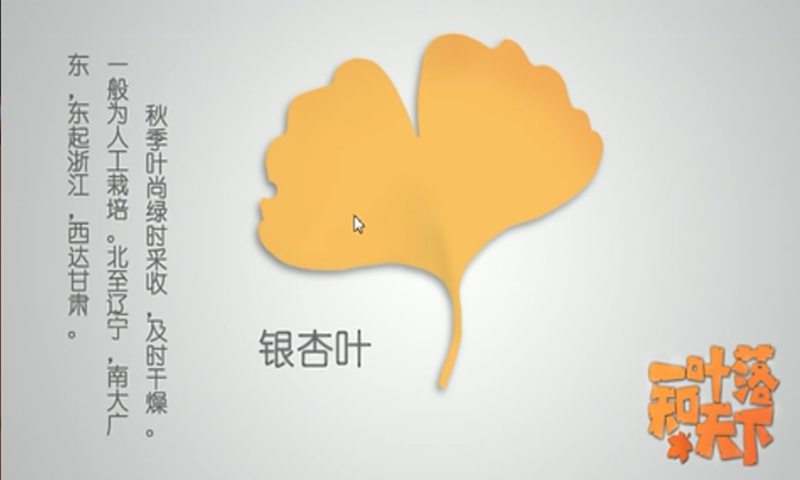 一叶落知天下2