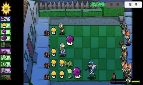 pvzbt骑士豌豆1