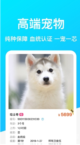DogBreeds狗品种2