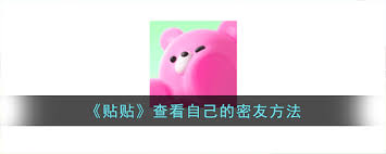 如何查看贴贴的密友