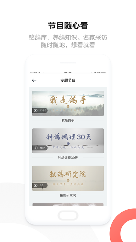 搜鸽网3