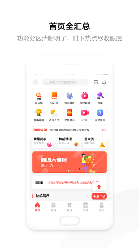 搜鸽网4