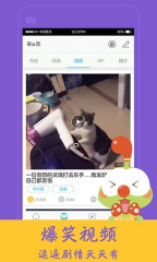 4399Biu乐1