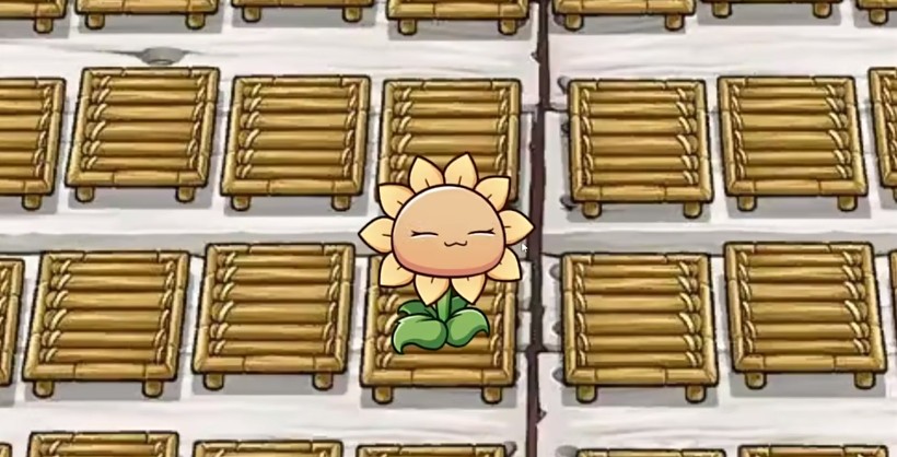 一株向日葵2