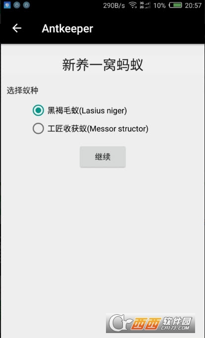 Antkeeper蚂蚁模拟1