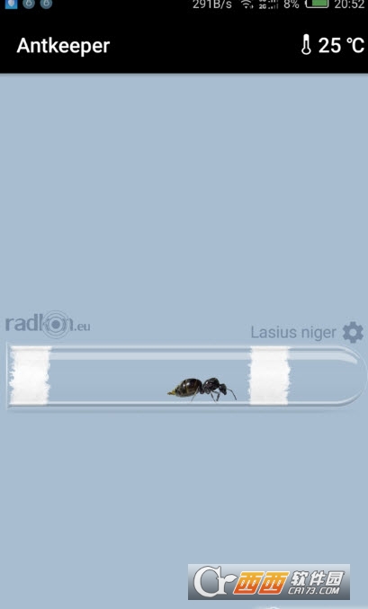 Antkeeper蚂蚁模拟4