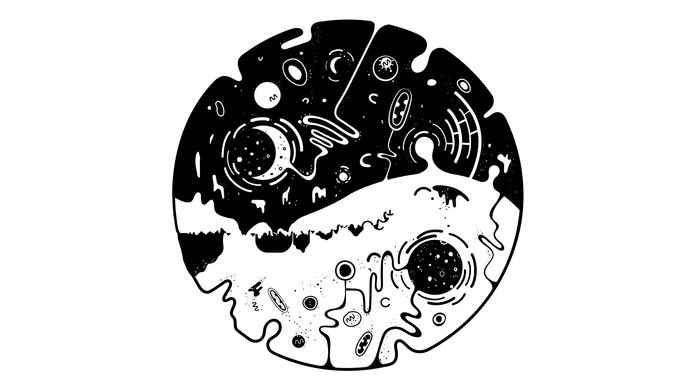 OVIVO5