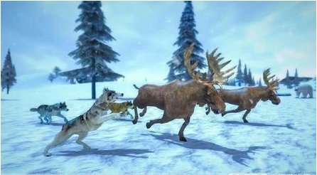 北极狼群3D(Arctic Wolf Sim 3D)手机版1