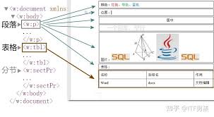 什么是word文档