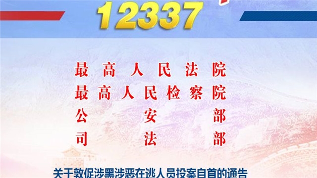 12337全国扫黑办智能化举报正式版平台1