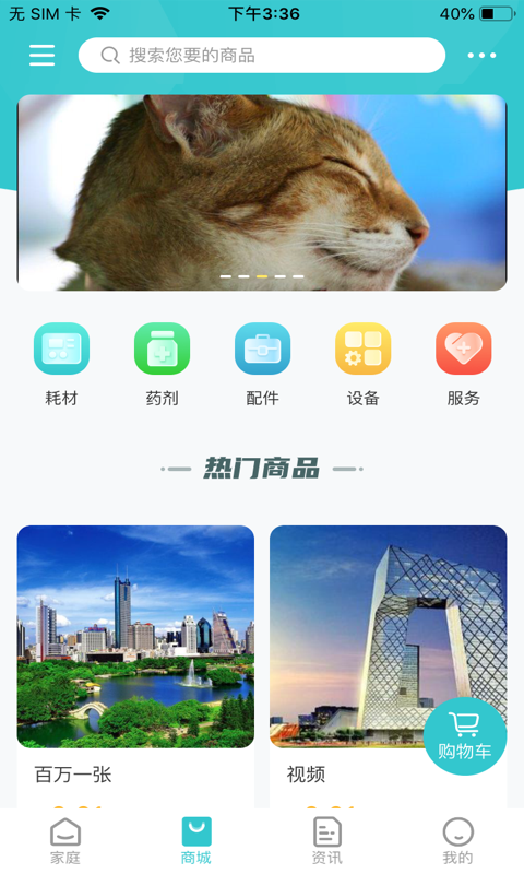 两只蜻蝏3