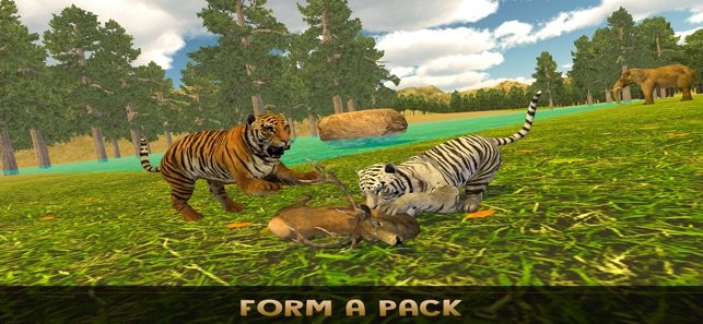 the lion family3