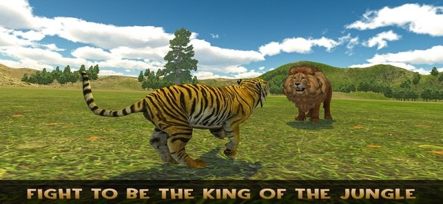 the lion family4