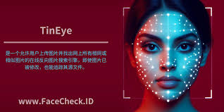 tineye在线识别网站最新地址在哪里