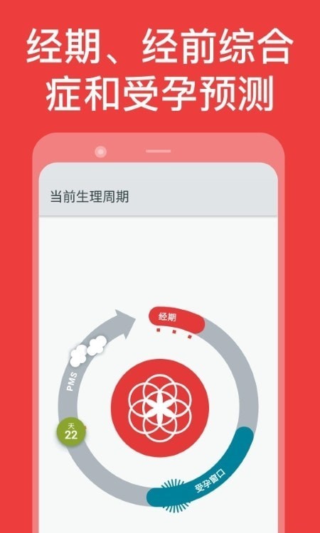 Clue月经周期1