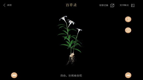 百草录2