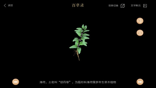 百草录3