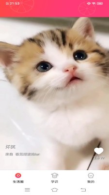 甜柚视频2