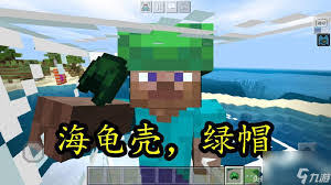 我的世界龟壳如何掉落