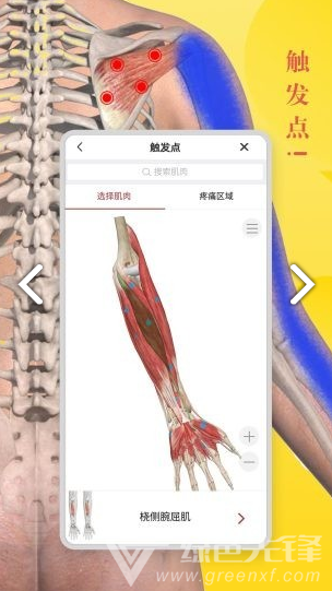 3Dbody艺用(3Dbody艺用三维人体模型)V8.4.41 安卓最新版3