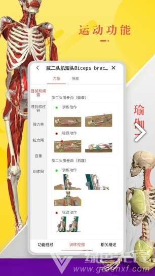 3Dbody艺用(3Dbody艺用三维人体模型)V8.4.41 安卓最新版5