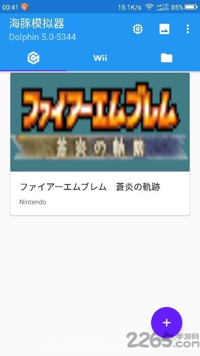 dolphin模拟器1