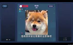 绝区零游戏攻略：与安比同行的怪奇之旅通关技巧