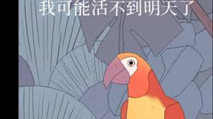 孤独的鸟儿如何到第二天