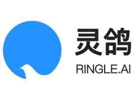灵鸽app验证码错误的原因