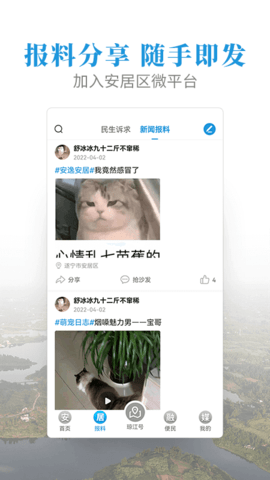 安居融媒2