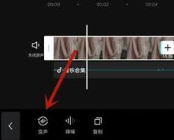 剪映变声功能在哪
