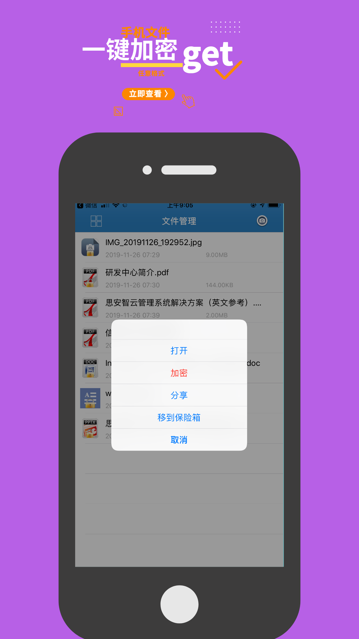 加密极速版3