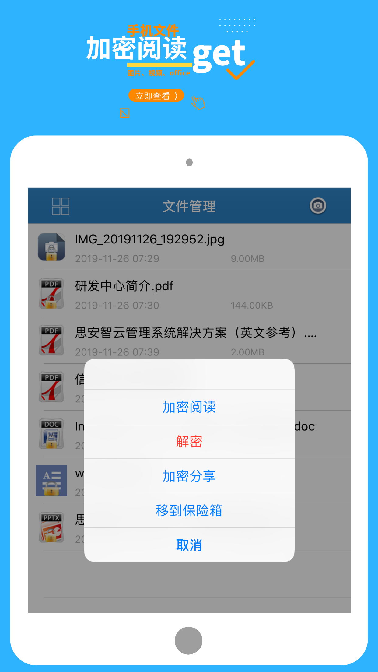 加密极速版4