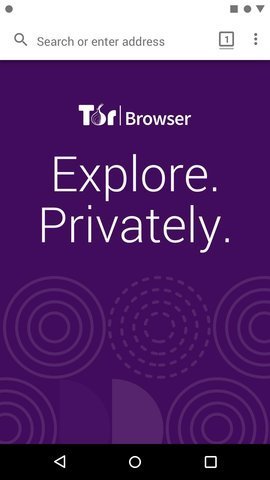 tor免费版（Tor Browser）3